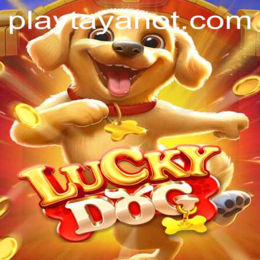 Unlocking the Excitement of LuckyDog: A Comprehensive Guide to the TayaHot Edition